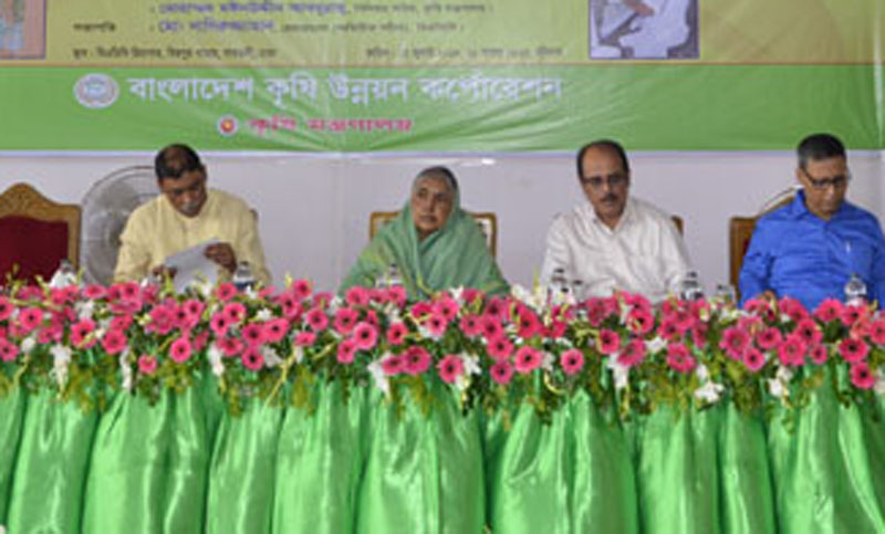 দেশ আজ দানাদার খাদ্যে স্বয়ংসম্পূর্ণ : মতিয়া চৌধুরী