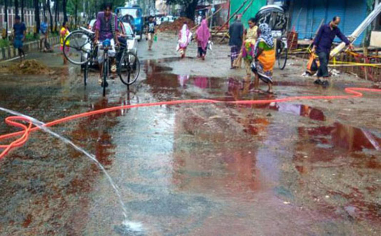 রাজধানীতে কোরবানি পশুর বর্জ্য অপসারণে হটলাইন চালু