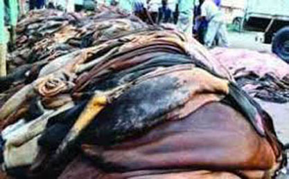 পশুর চামড়ার দাম নির্ধারণ করেছে সরকার