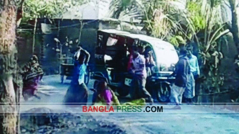 জমি দখলে ব্যর্থ হয়ে মাকে কোপালো ছেলে