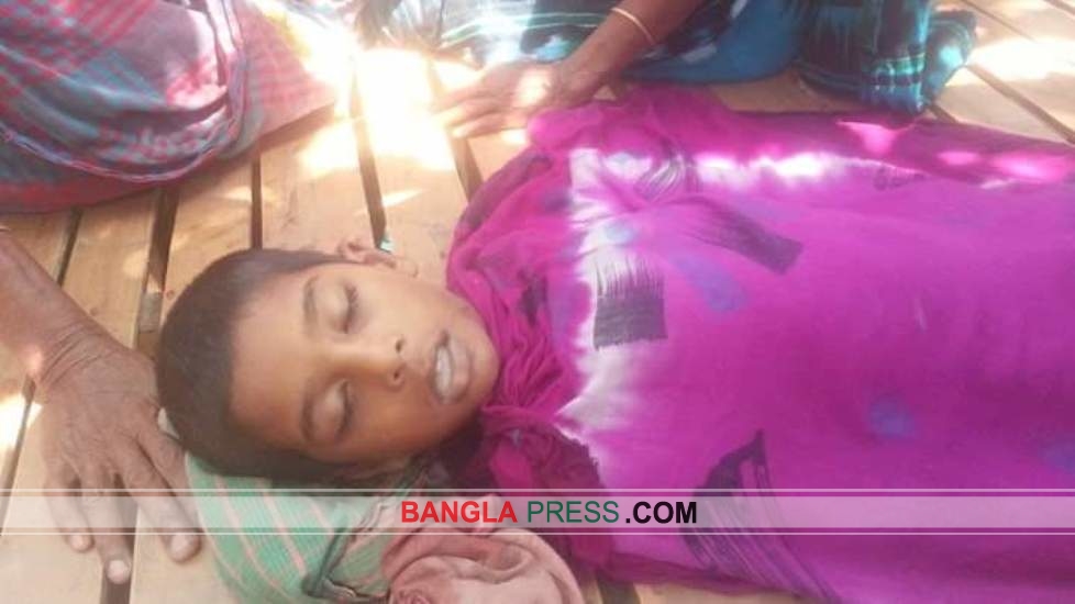 মেহেরপুরেরর রাজনগরে পানিতে ডুবে শিশুর মৃত্যু