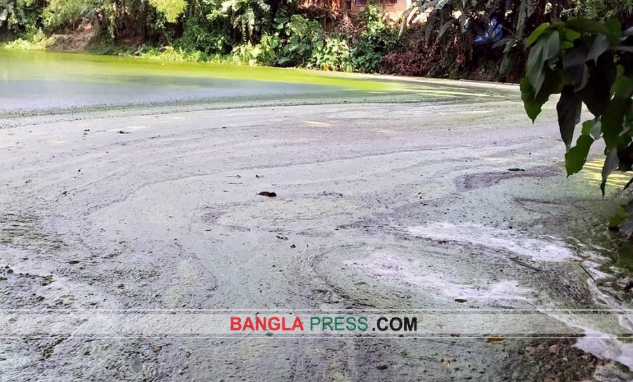 ধুনটে আবাসিক এলাকায় দূষিত পানিতে জনজীবন বিপর্যস্ত