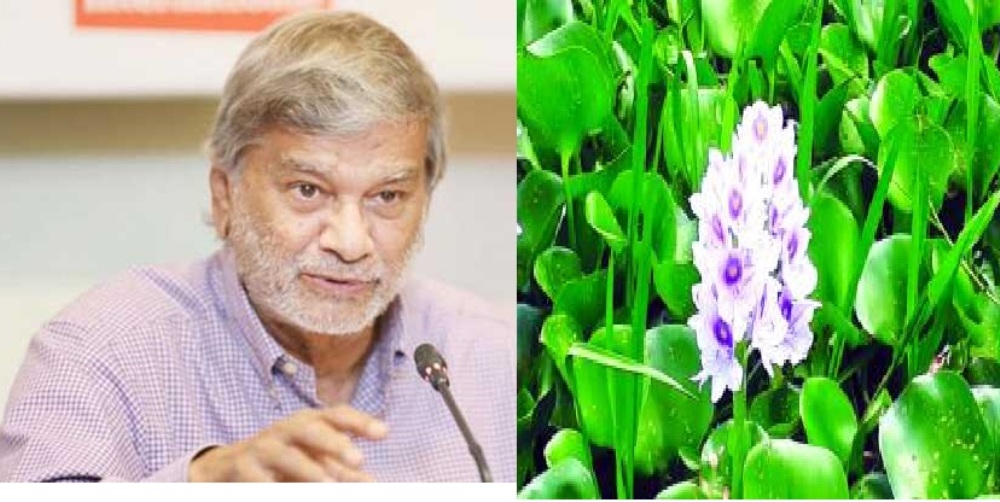 ‘খেতে নয়, কচুরিপানা নিয়ে গবেষণার কথা বলেছি’