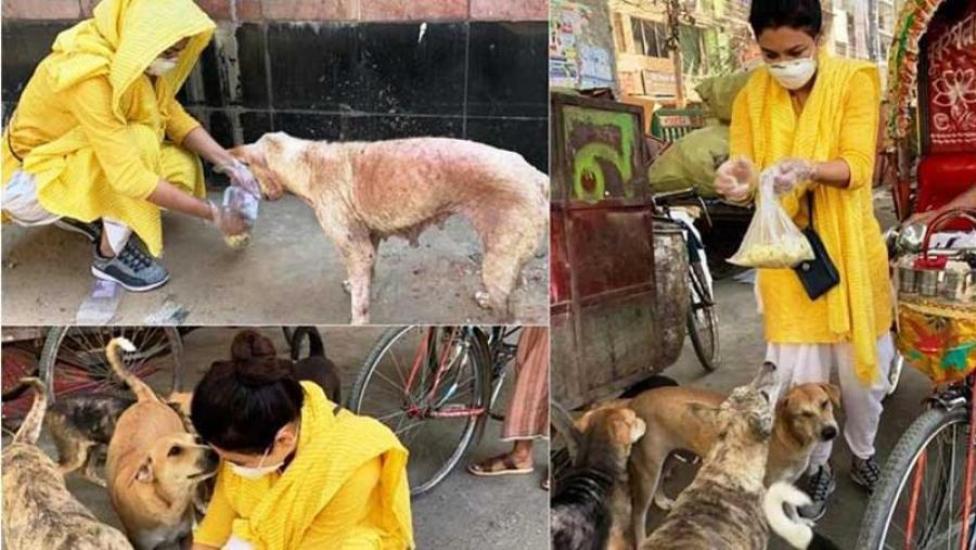 অসহায় কুকুরদের পাশে জয়া আহসান
