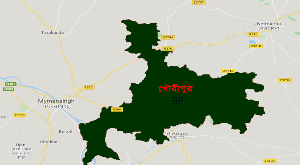 প্রধানমন্ত্রীর ত্রাণ তহবিলে অনুদান দিলেন গৌরীপুরের প্রাইমারীর শিক্ষক ও কর্মকর্তারা