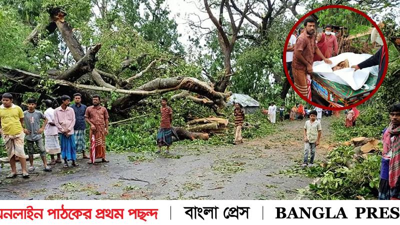 ঝিনাইদহে ঘূর্ণিঝড় ‘আম্পান’র প্রভাবে ঘরের উপর গাছ ভেঙে নিহত ১