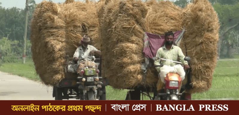 কৃষি ফার্মের উপ-পরিচালক বিচালী-খড় বেচে হাতিয়েছেন লাখ লাখ টাকা
