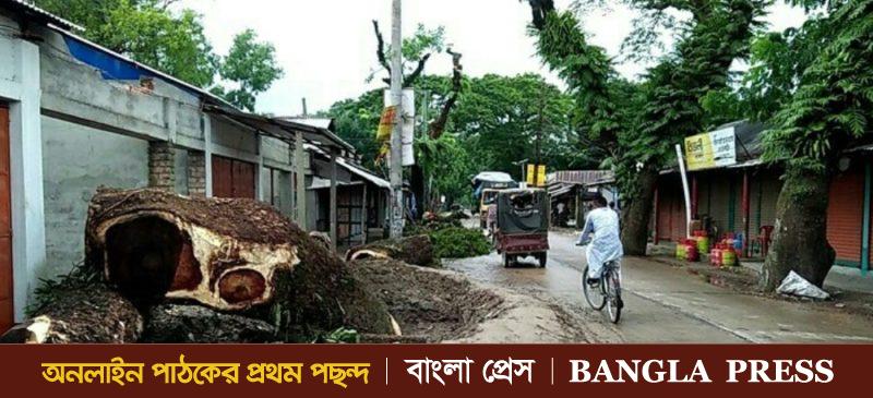 গৌরীপুরে সরকারি গাছ কর্তনের অভিযোগ