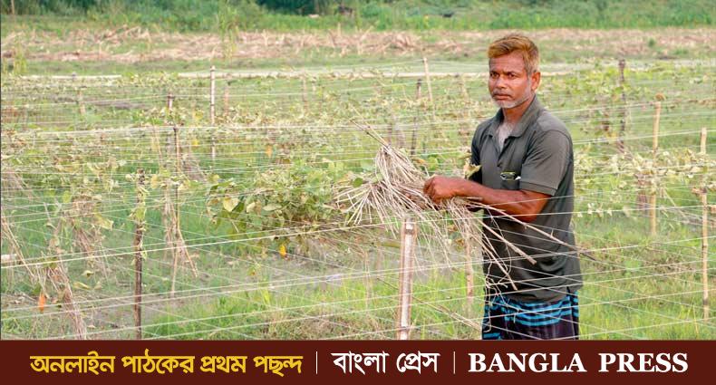 এ কেমন নিষ্ঠুরতা!