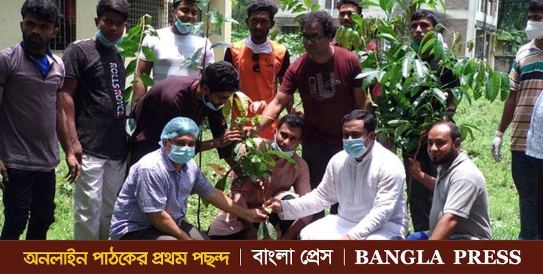 গৌরীপুরে যুবলীগ নেতা বাচ্চুর নেতৃত্বে বৃক্ষরোপণ কর্মসূচি