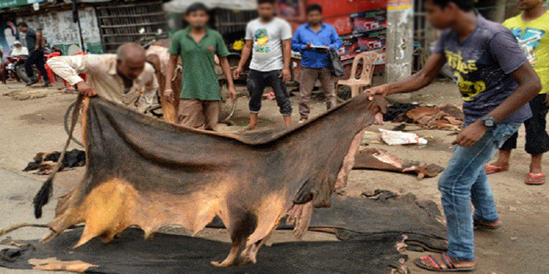 কোরবানি পশুর চামড়ার দাম নির্ধারণ