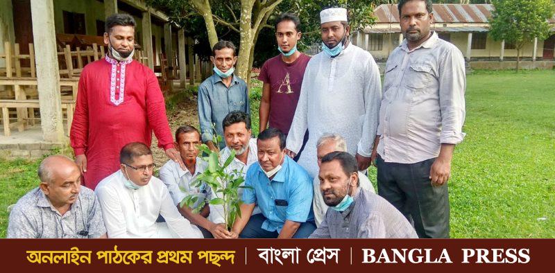 ধুনটে কৃষক লীগের বৃক্ষরোপন
