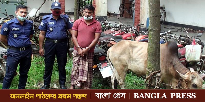 গরু ফিরিয়ে দিয়ে গরীবের মুখে হাসি ফোটালো সদর থানার পুলিশ