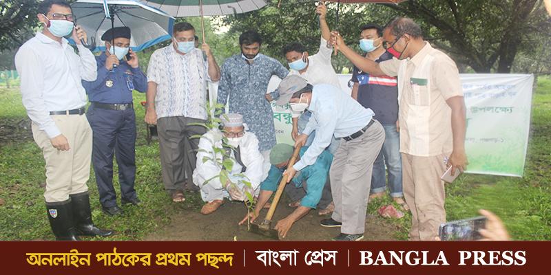 তেঁতুলিয়ায় বঙ্গবন্ধু মেমোরিয়াল প্লান্টেশন এর উদ্বোধন