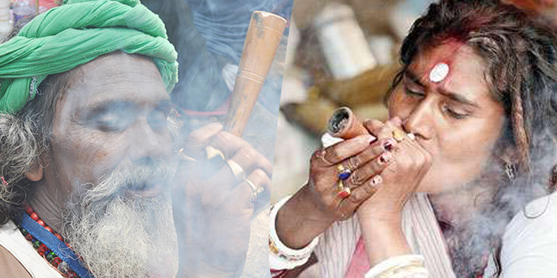 যে মন্দিরে প্রসাদ হিসেবে দেয়া হয় গাঁজা !