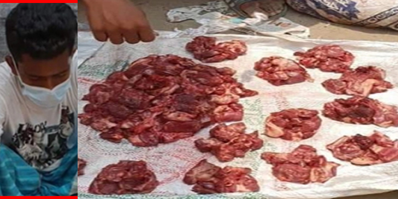 শিয়ালের মাংস বিক্রির সময় যুবক আটক