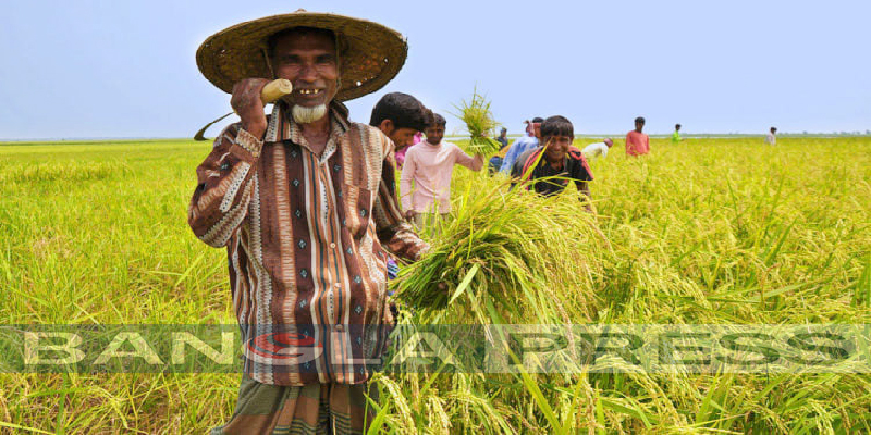 গ্রামে কৃষকদের স্পর্শ করেনি করোনা