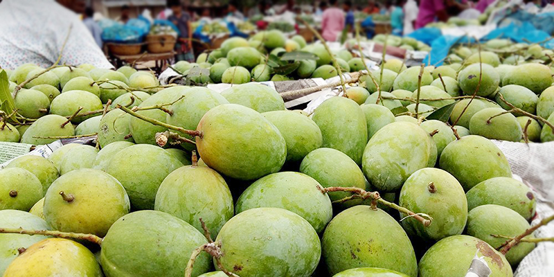 ক্যামিকেলমুক্ত ভাল আম চেনার উপায়