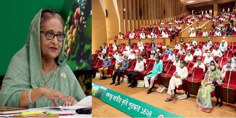 খাদ্য নিরাপত্তায় ৬টি থিম্যাটিক এরিয়ায় কাজ করছে সরকার: প্রধানমন্ত্রী