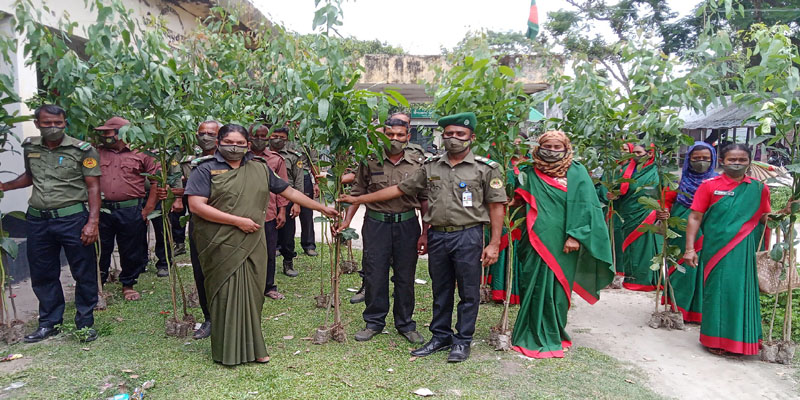 ডোমারে আনসার ও গ্রাম প্রতিরক্ষা বাহিনীর বৃক্ষরোপন কর্মসূচি