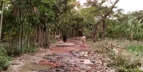 লক্ষ্মীপুরের রামগতি-কমলনগরে ভেঙ্গে পড়েছে গ্রামীণ সড়ক ব্যবস্থা
