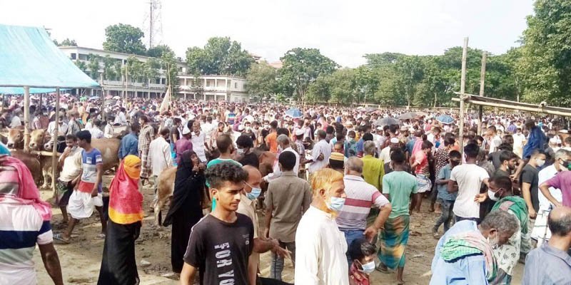 নরসিংদীতে অস্থায়ী পশুর হাটে নেই স্বাস্থ্যবিধির বালাই