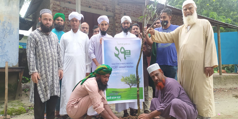 ঠাকুরগাঁওয়ের রুহিয়ায় বৃক্ষরোপন কর্মসূচি