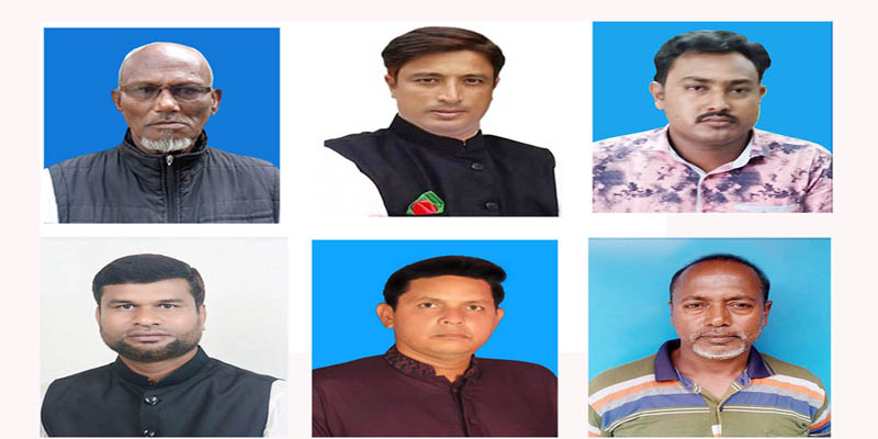ডোমারে ইউপি নির্বাচনে নৌকার মনোনয়ন পেতে ৬ প্রার্থীর দৌড়ঝাঁপ