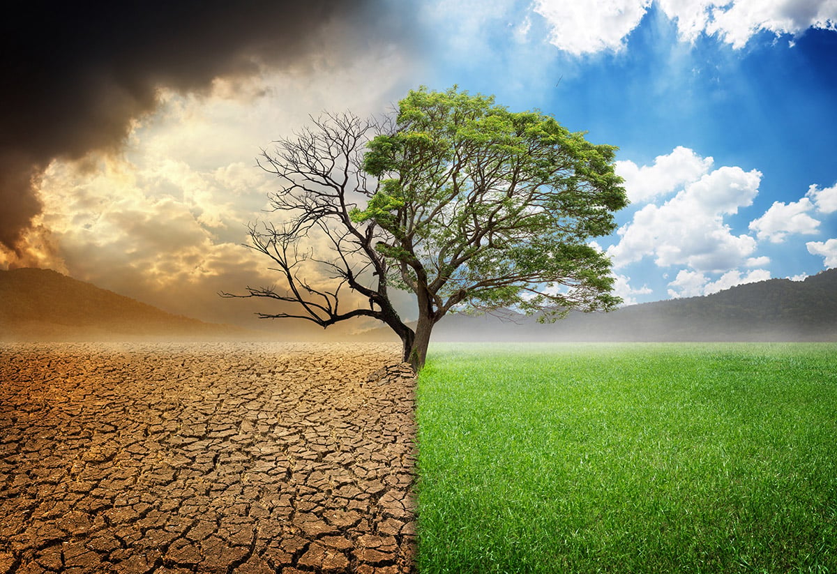 What is climate change? The evidence and solutions explained in charts