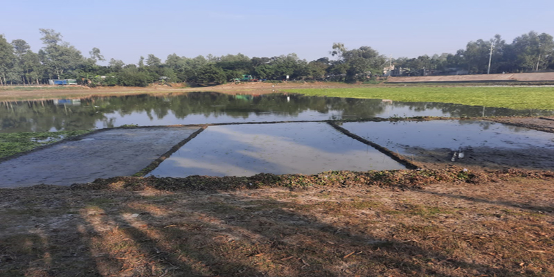 আদালতের রায়ের পরও গাইবান্ধার শিশুদহ বিলে মাছ ধরতে পুলিশের বাঁধা