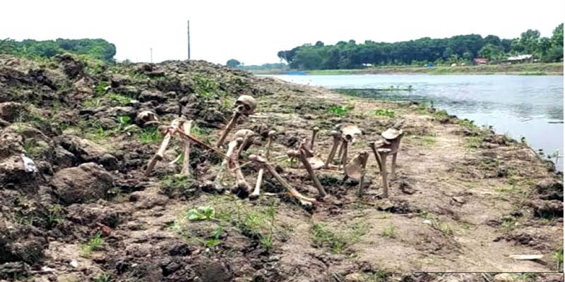 ঝিনাইদহের মহেশপুরে কলেজ বাসষ্ট্যান্ডে গনকবরের সন্ধান