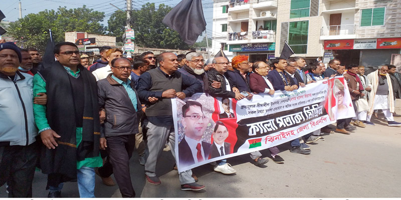 ঝিনাইদহে বিএনপির কালো পতাকা মিছিল ও সমাবেশ