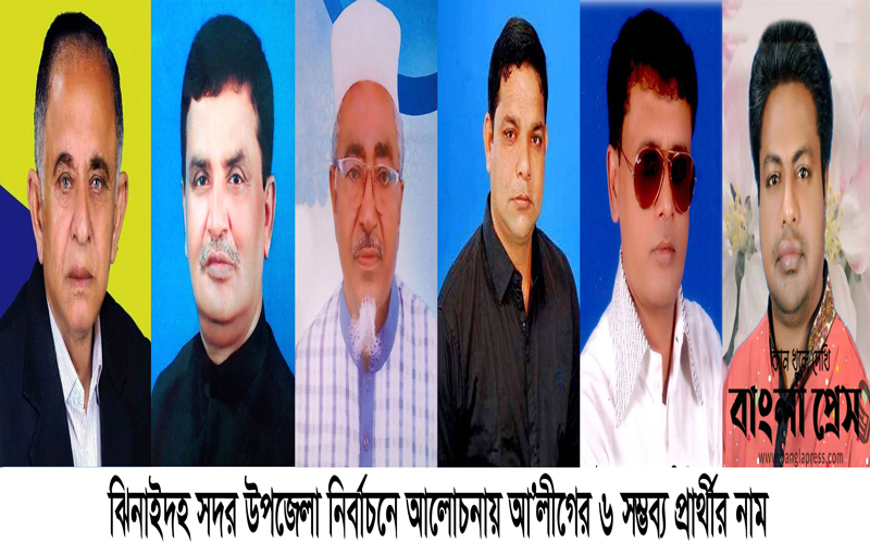ঝিনাইদহ সদর উপজেলা নির্বাচনে ভোটের মাঠে আ’লীগ নেতারা