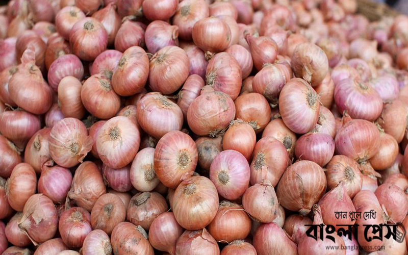 ১ দিনের ব্যবধানে পেঁয়াজের দাম বাড়লো ৩০ টাকা