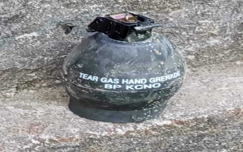 নোয়াখালীতে ২টি গ্রেনেড উদ্ধার