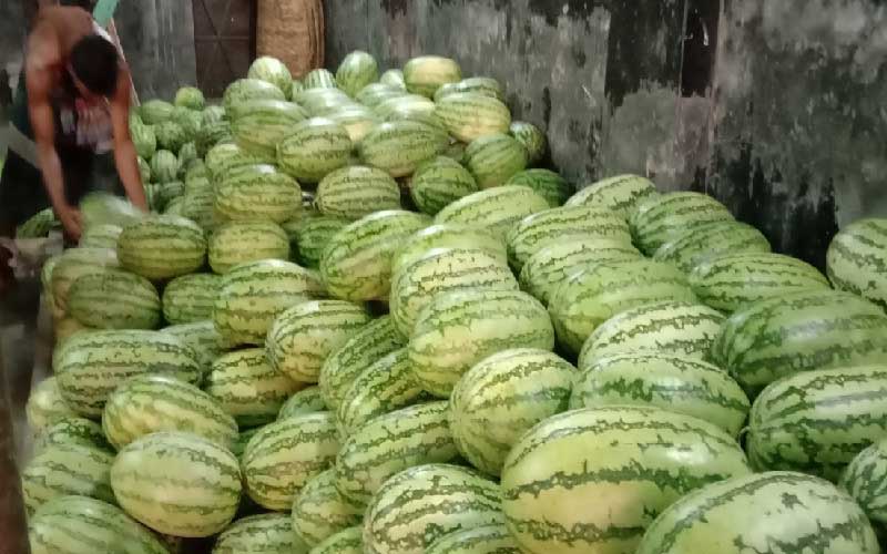তরমুজ কেজি দরে বিক্রি করা যাবে না