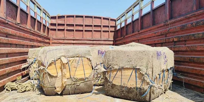 বেনাপোল বন্দরে মাছের ট্রাকে  থ্রিপিসের চালান