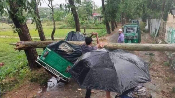 ফুলপুরের উপরে বয়ে গেল কালবৈশাখীর ঝড়