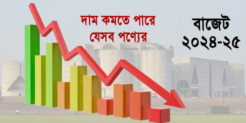 কমতে পারে যেসব পণ্যের দাম