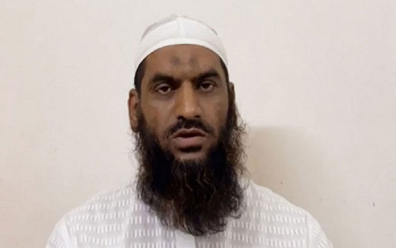 হাব নিয়ে অস্থিরতা সৃষ্টিকারীরা সুযোগ সন্ধানী: মামুনুল হক