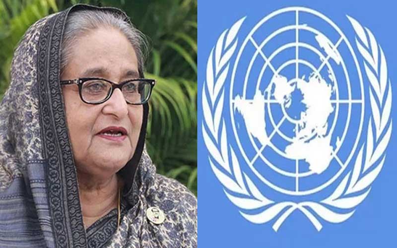 আন্দোলনকারীদের হত্যার তদন্ত করবে জাতিসঙ্ঘের দল