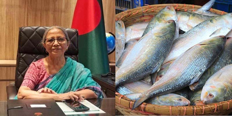 ক্ষমা চাচ্ছি, ভারতে ইলিশ পাঠাতে পারব না: মৎস্য উপদেষ্টা
