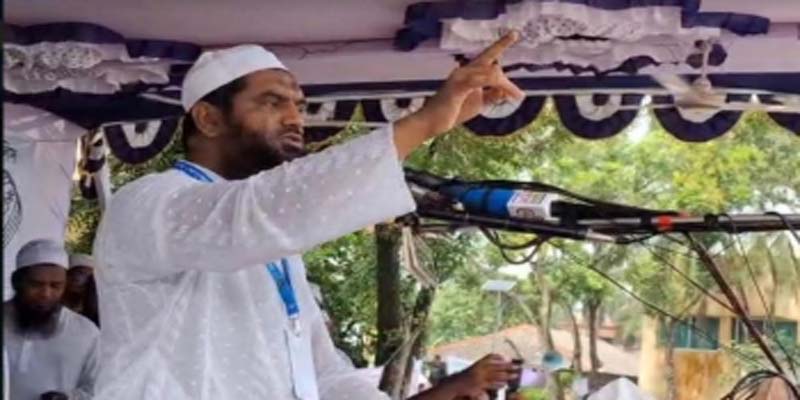 আওয়ামী লীগ রাতে কালনাগিনী, দিনে ওঝা: মামুনুল