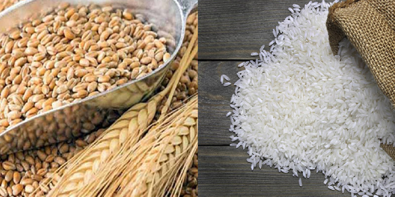 ৬ লাখ টন চাল-গম আমদানি করবে সরকার