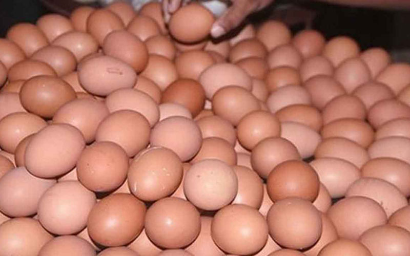 সরকারের সিদ্ধান্ত: ডিমের দাম নির্ধারণ
