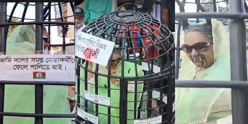 বিএনপির শোভাযাত্রায় ‘খাঁচায় বন্দি’ শেখ হাসিনা