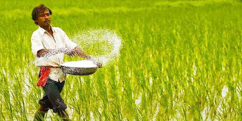 দুই লাখ ৩০ হাজার টন সার কিনবে সরকার