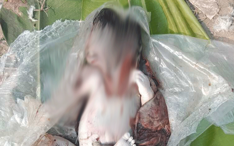 নোয়াখালীতে ওষুধের কার্টনে মিলল নবজাতকের মরদেহ