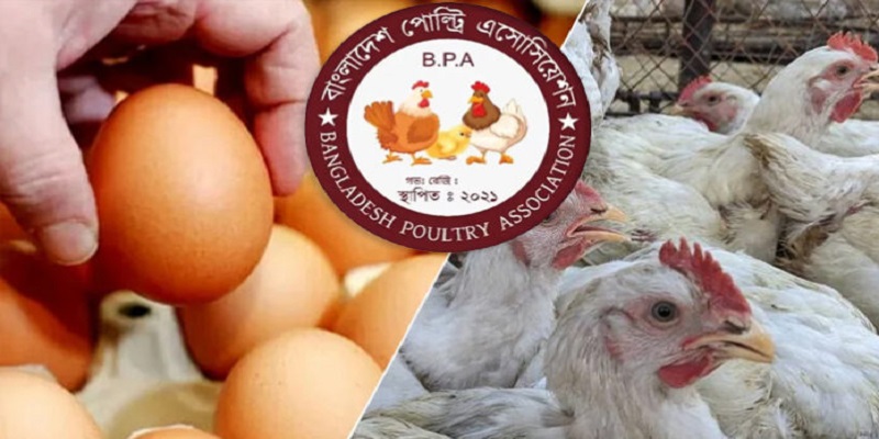 পহেলা মে থেকে সারাদেশে ডিম ও মুরগি উৎপাদন বন্ধের ঘোষণা প্রত্যাহার