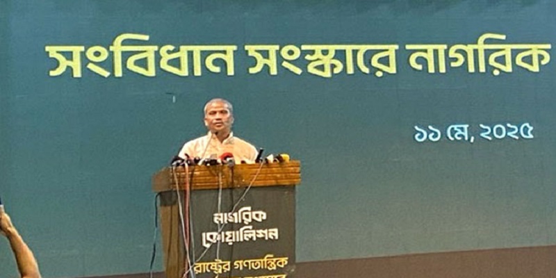 নতুন সংবিধান প্রণয়ন করতে অনেক সময় লাগবে : আসিফ নজরুল